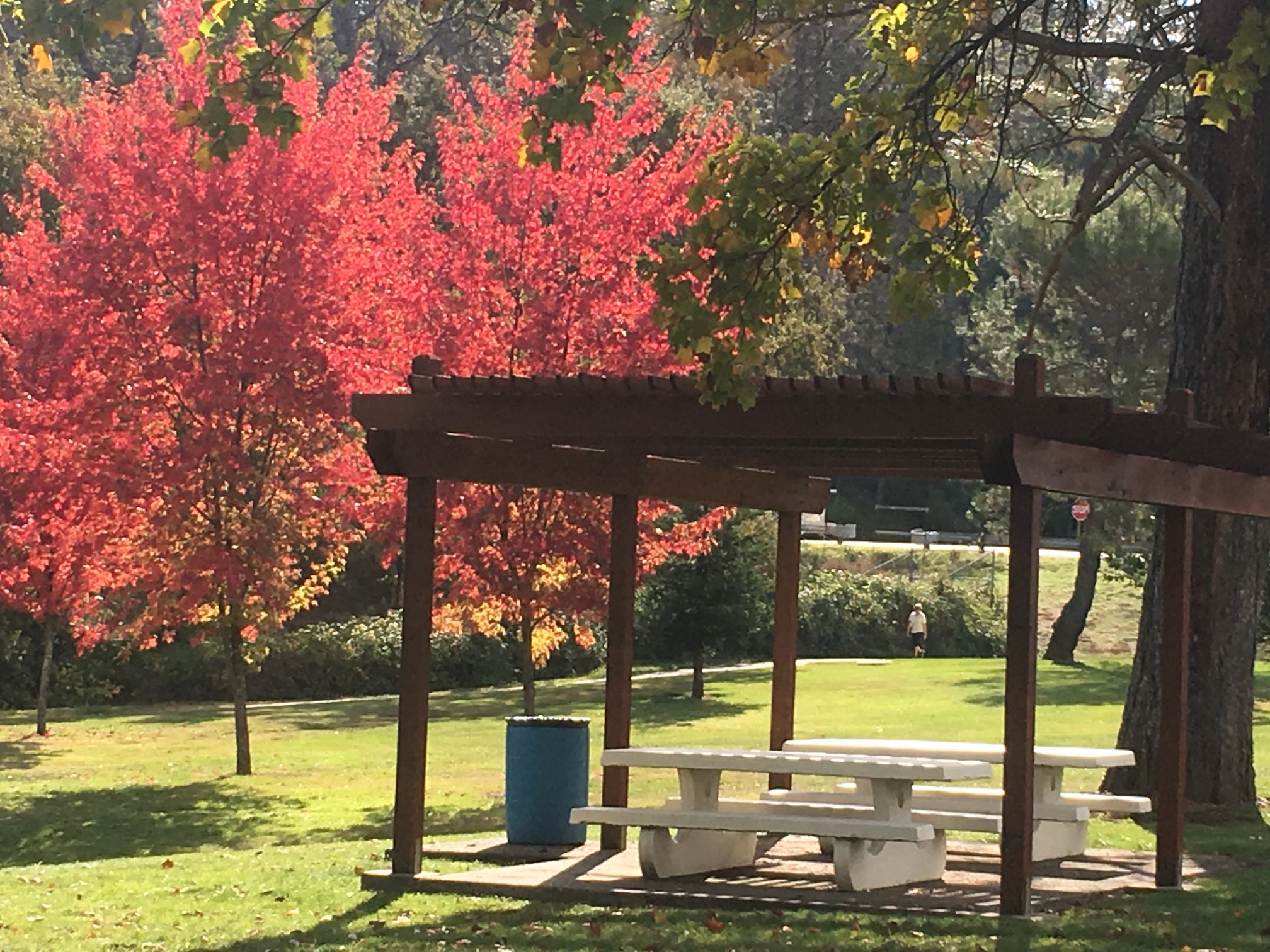 Meadow Vista picnic table