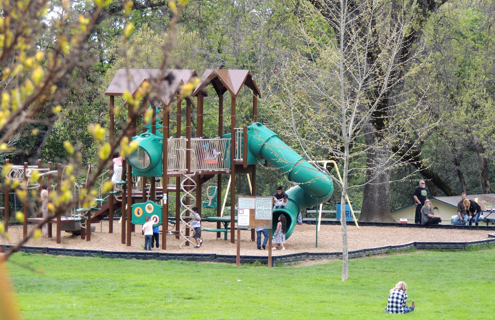Ashford Park Play Structure