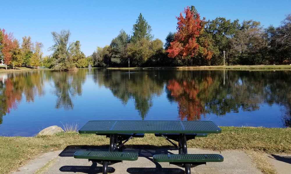 Regional Park picnic table