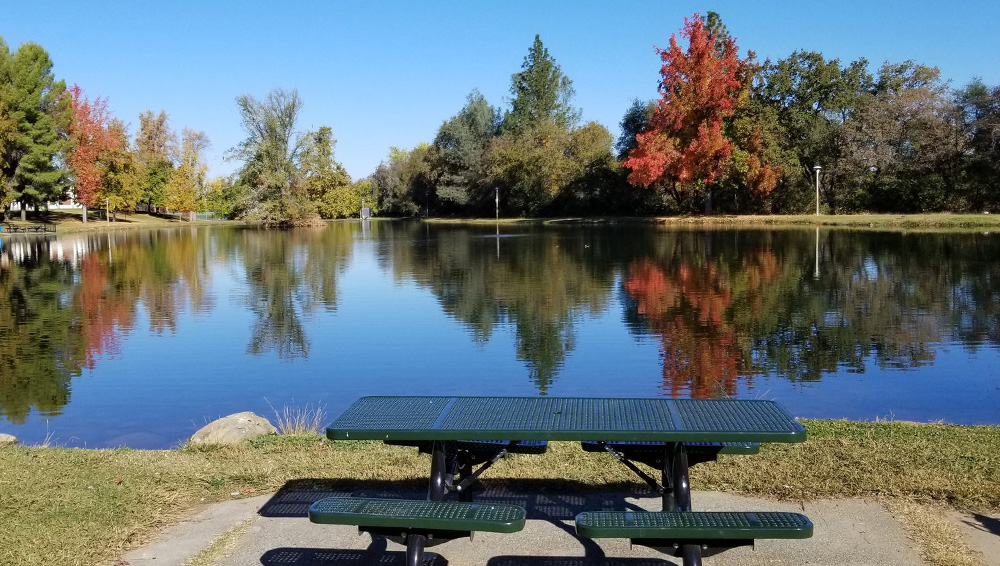 Regional Park Pond and Picnic Table