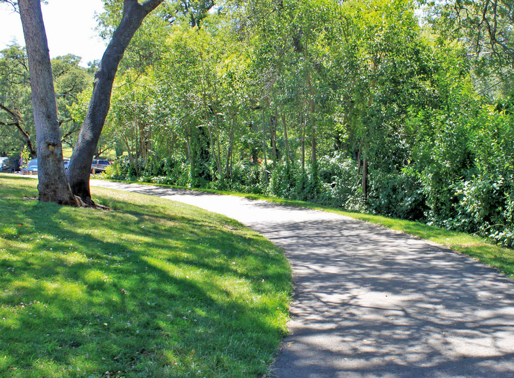 Recreation park walkway