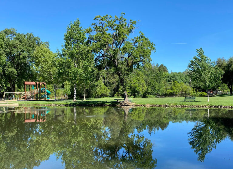 Ashford Park Auburn Recreation District