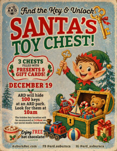 Santa's Toy Chest